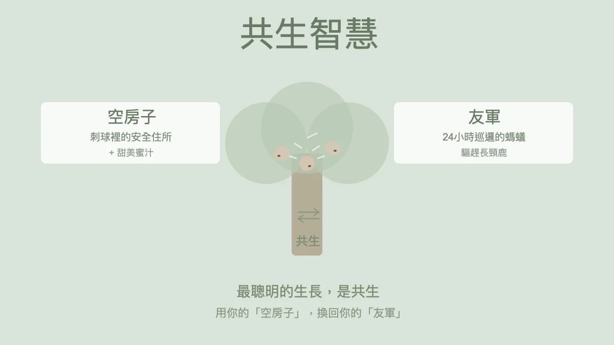 共生智慧